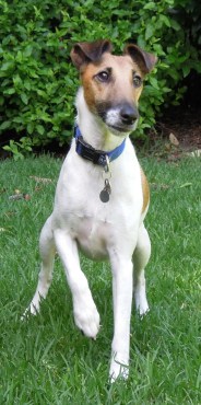 DSCN1139 - Version 2