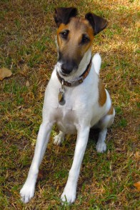 DSCN2294 - Version 2