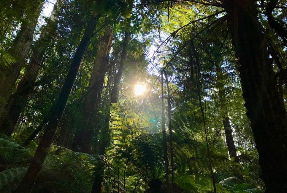 photo-1547994392-a12540111e87